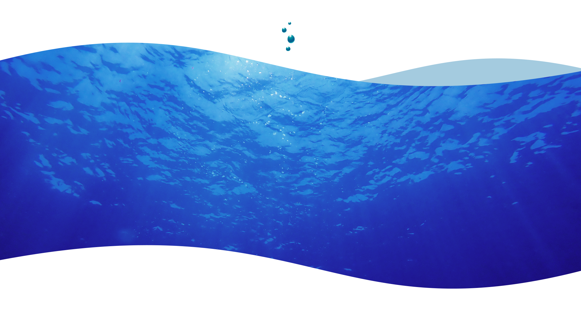 南本勇商店について