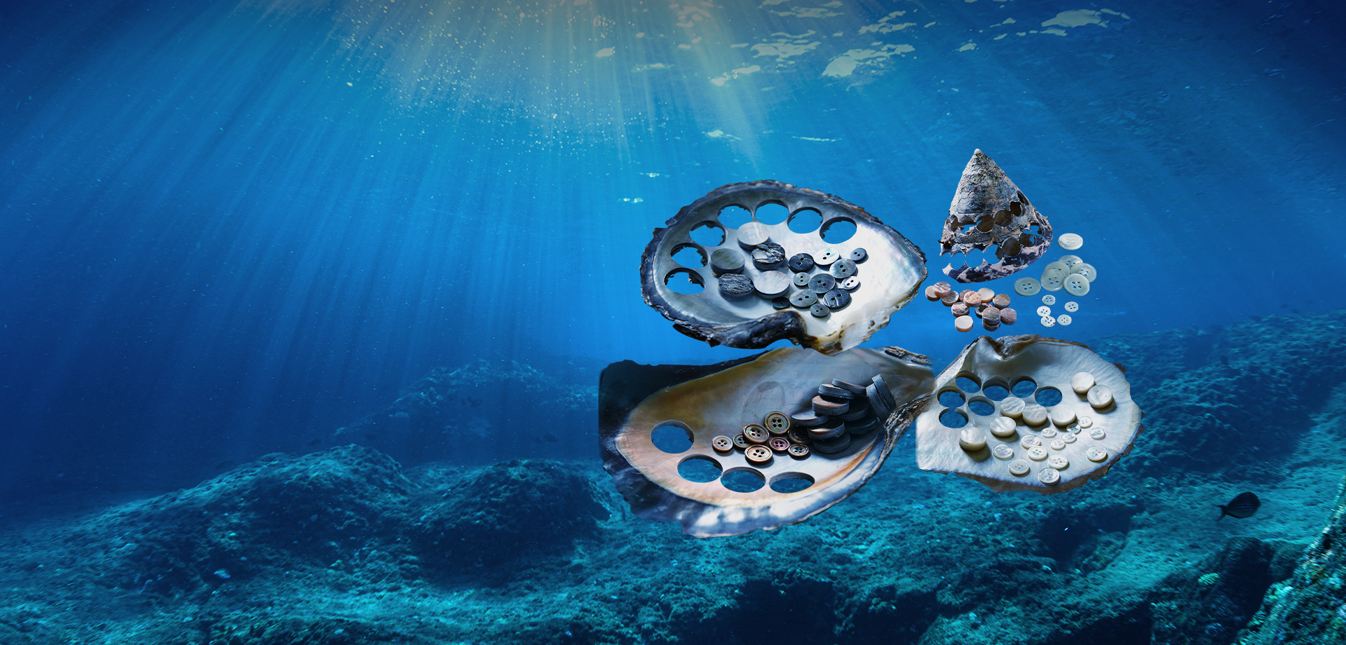 株式会社南本勇商店